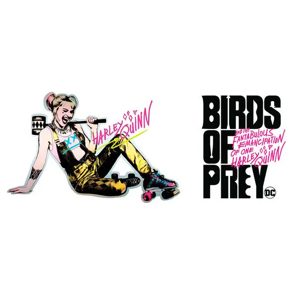 DC Comics Birds of Prey Roller Skates mug product photo