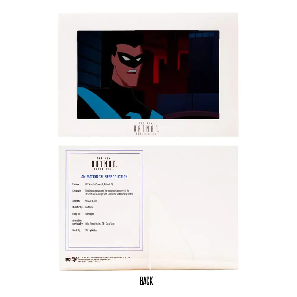 DC Direct Action Figure The New Batman Adventures Nightwing 15 cm product photo