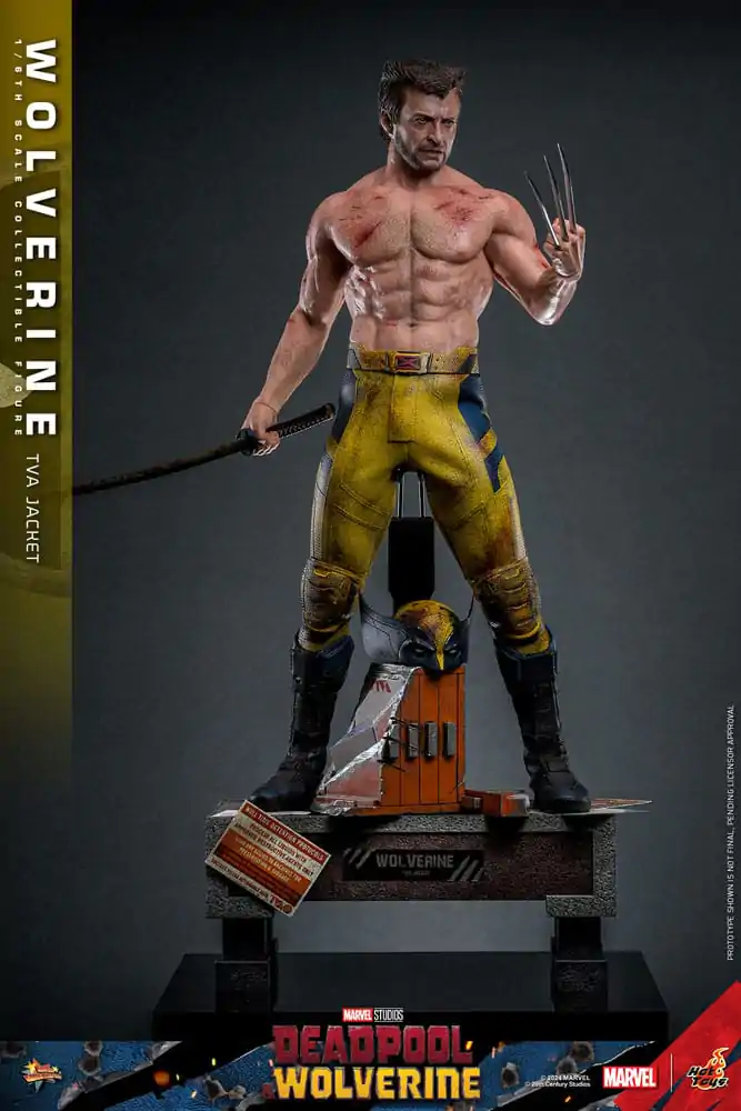 Deadpool & Wolverine Movie Masterpiece Action Figure 1/6 Wolverine (TVA Jacket Version) 31 cm termékfotó