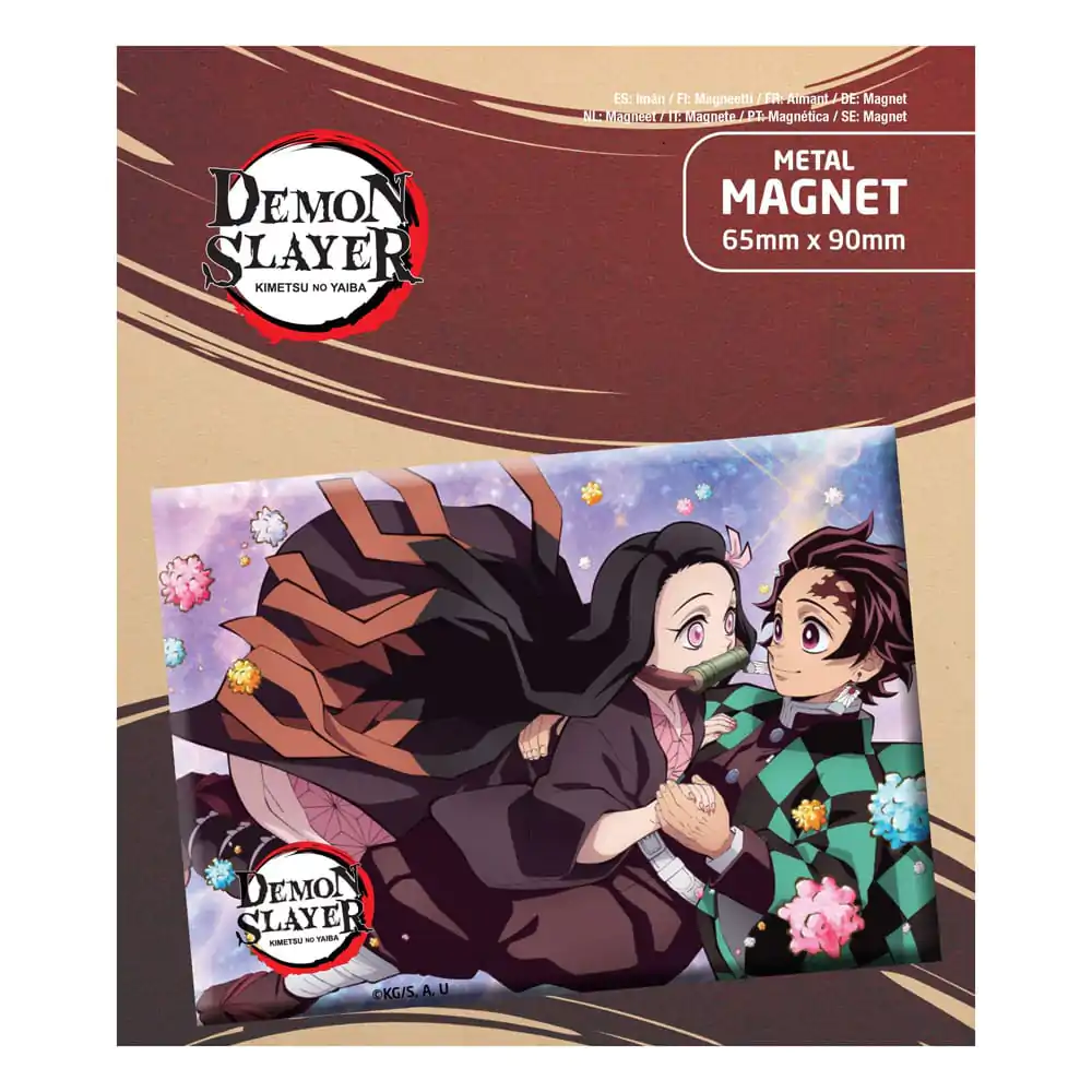 Demon Slayer: Kimetsu no Yaiba Tanjiro & Nezuko product photo