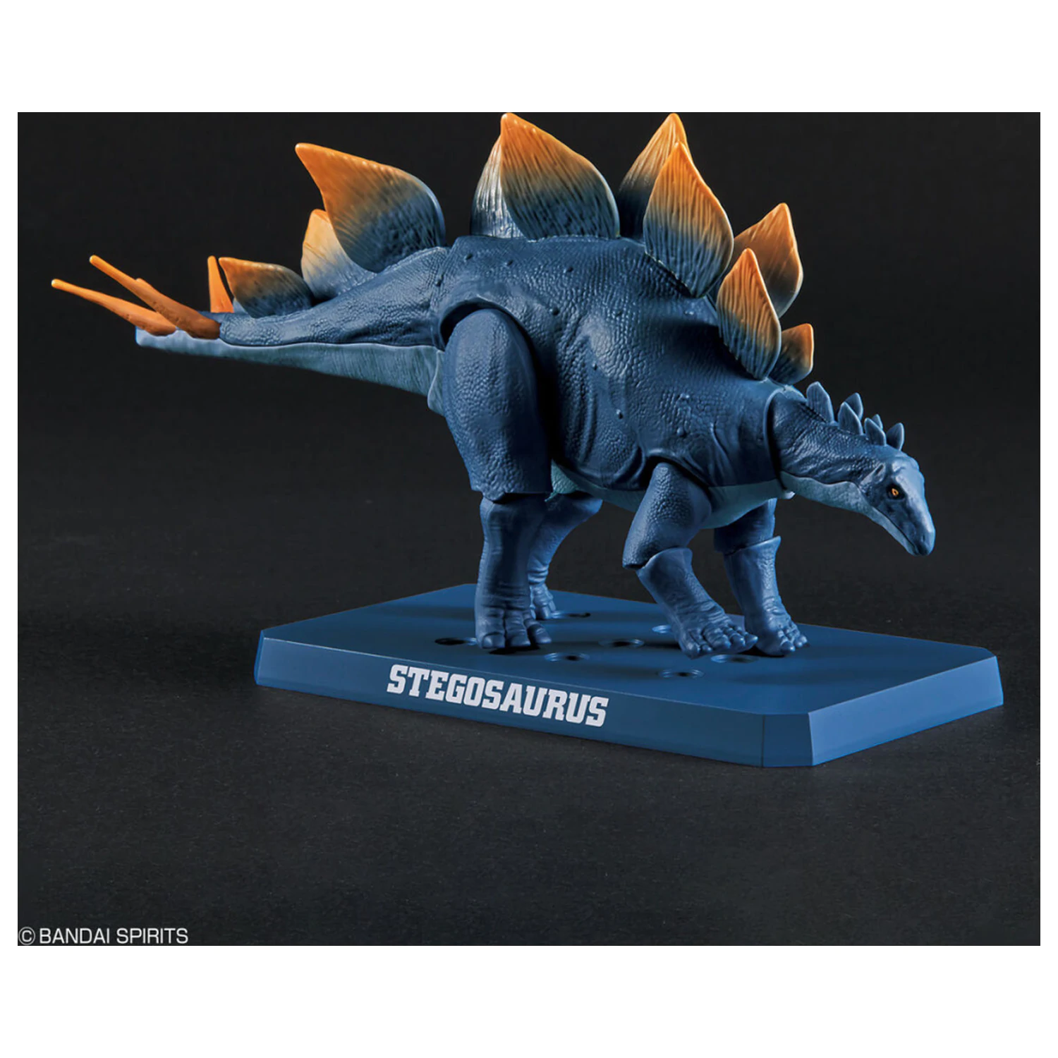 Dinosaur New Dinosaur Plastic Stegosaurus (Tentative) Model Kit product photo