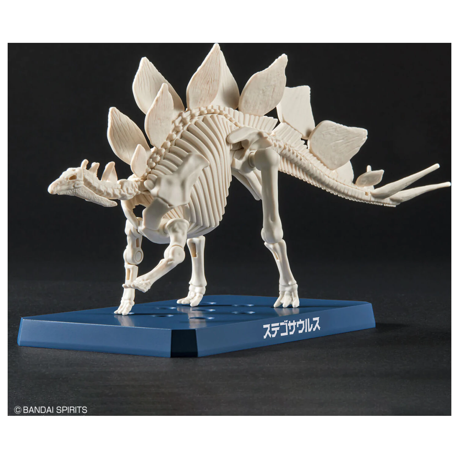 Dinosaur New Dinosaur Plastic Stegosaurus (Tentative) Model Kit product photo