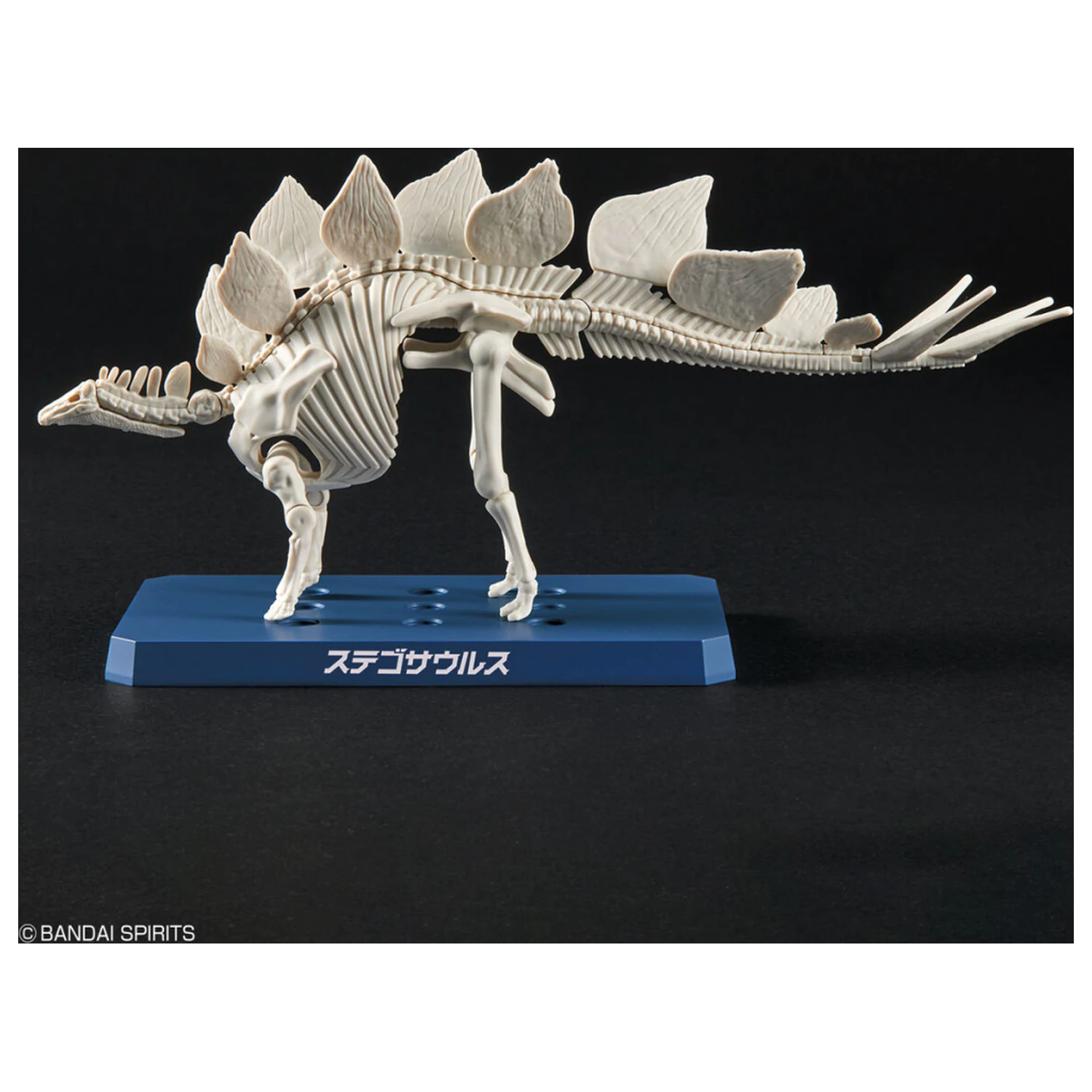 Dinosaur New Dinosaur Plastic Stegosaurus (Tentative) Model Kit product photo