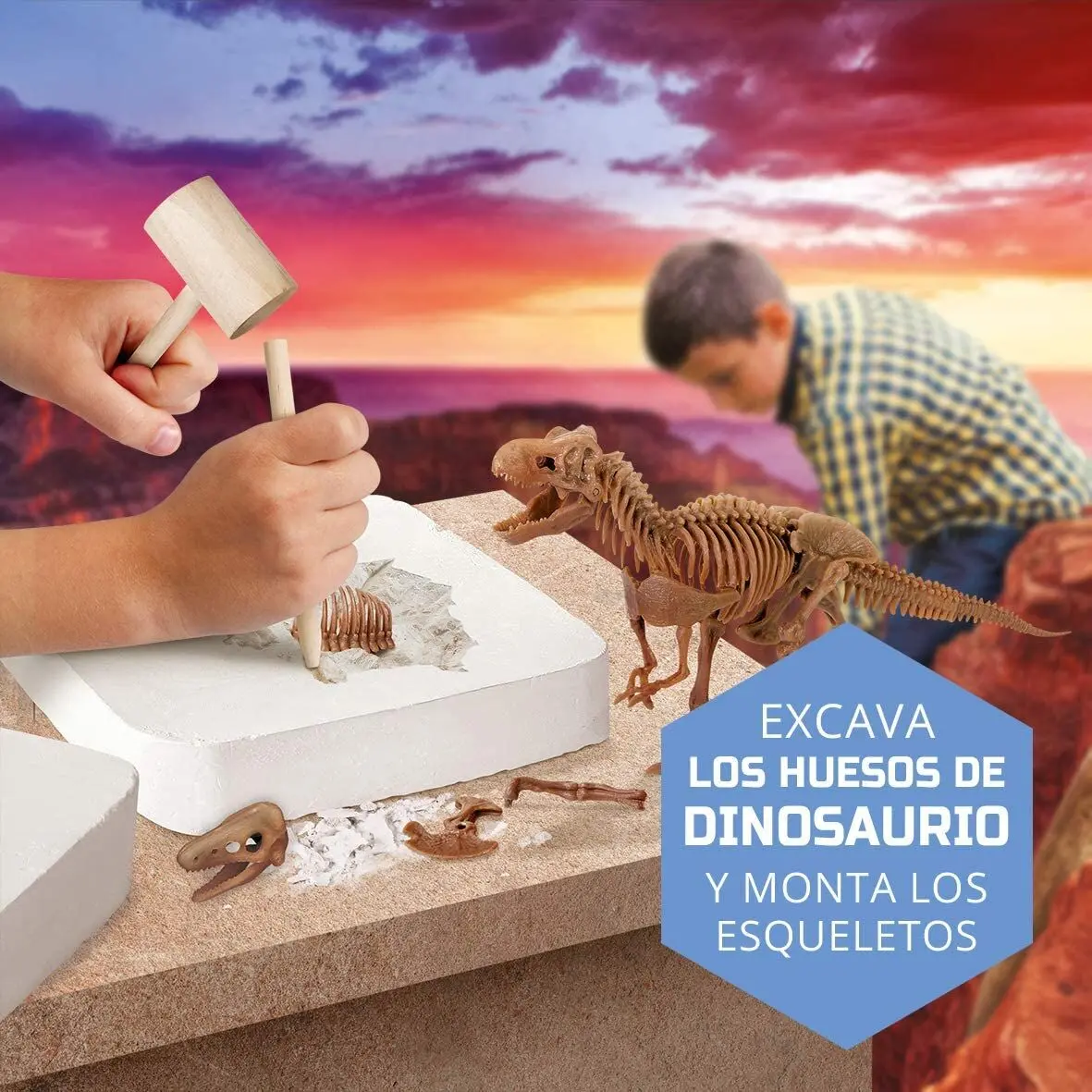 Dinosaurs Excavation kit product photo
