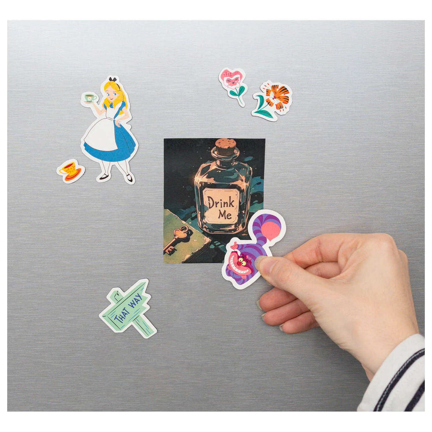 Disney Alice in Wonderland set of die-cut magnets product photo