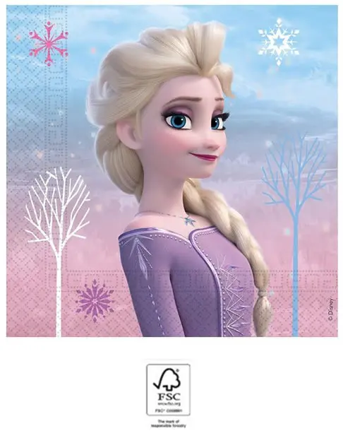 Disney Frozen II Wind Spirit, Disney Frozen Napkins 20 pieces 33x33 cm FSC product photo