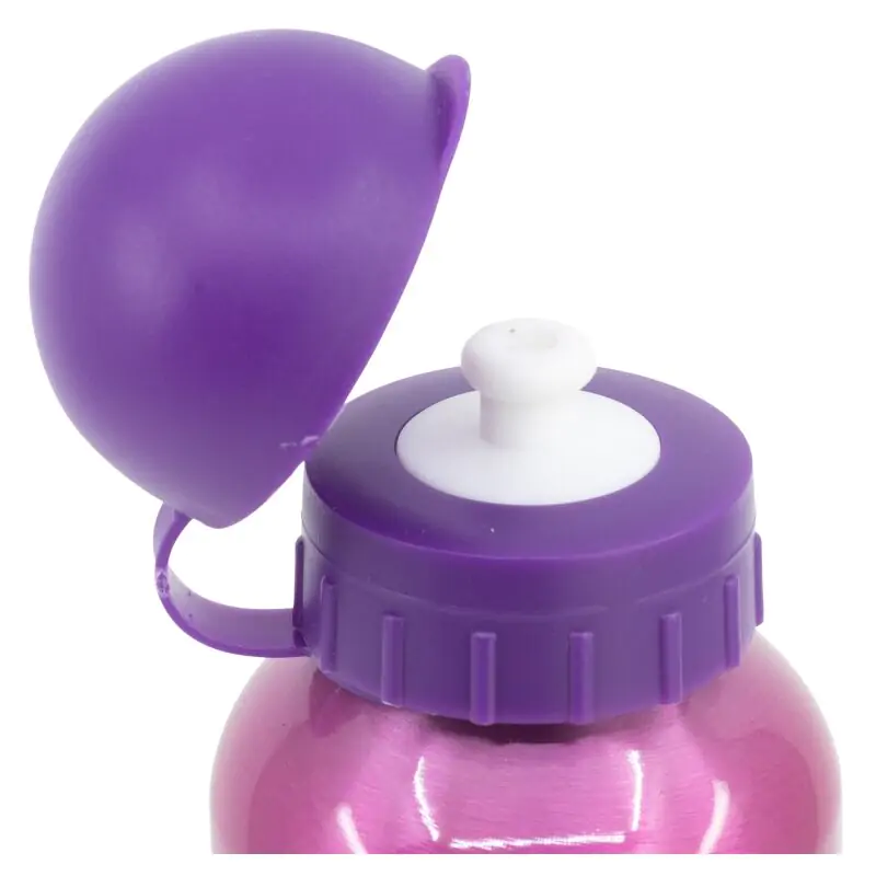 Disney Princess Bright &amp; Bold aluminium bottle 400ml product photo