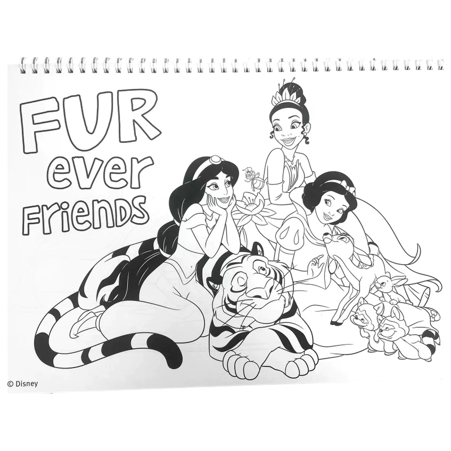 Disney Princesses Life A/4 spiral sketchpad 40 sheets with stickers product photo