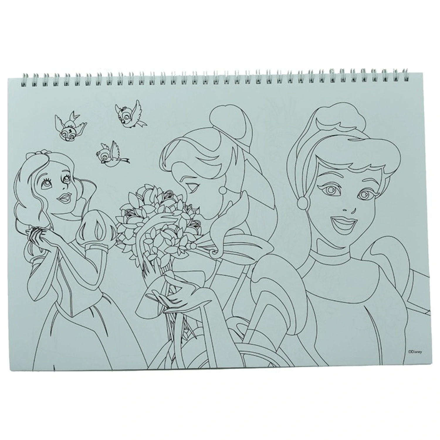 Disney Princess Spring A/4 Spiral Sketchbook 40 Sheets with Stickers product photo
