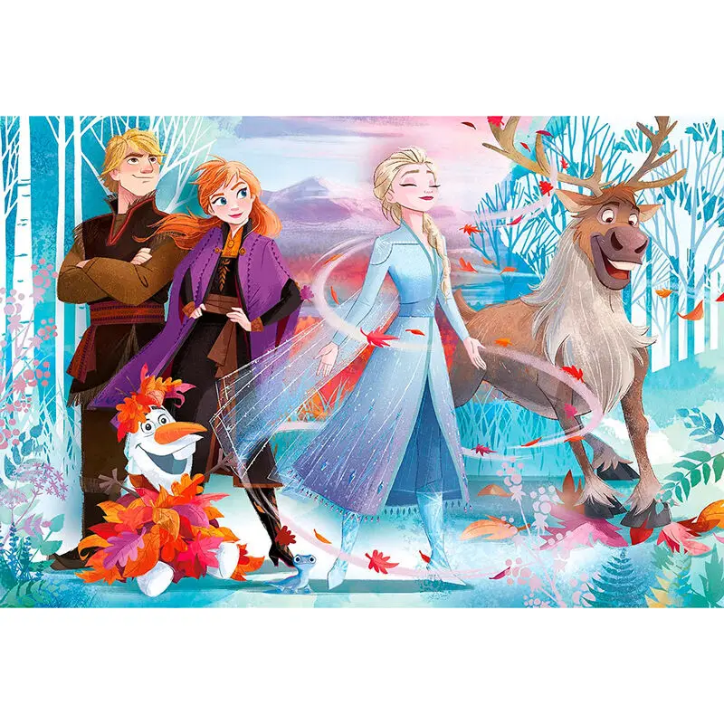 Disney Frozen 2 Maxi puzzle 24pcs product photo