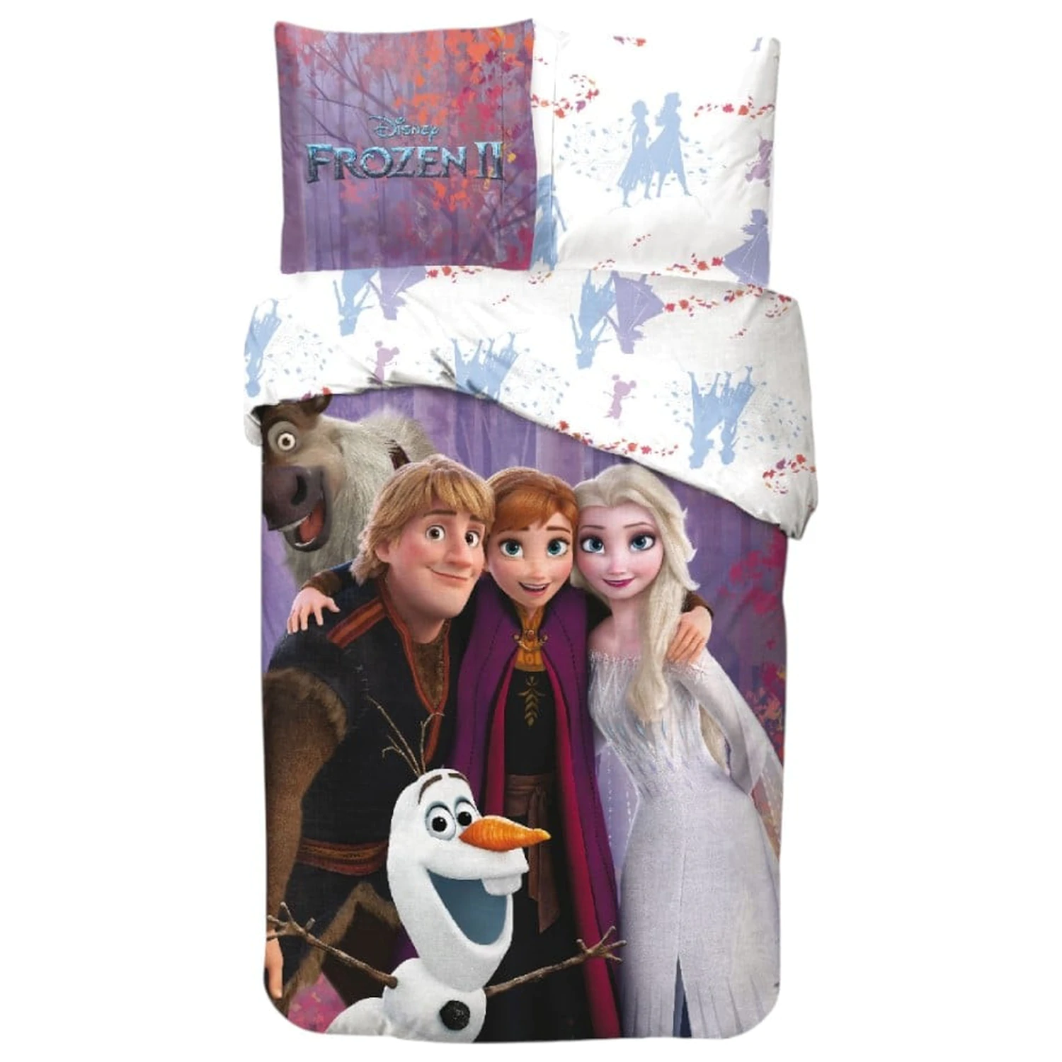 Disney Frozen Magic Team duvet cover product photo