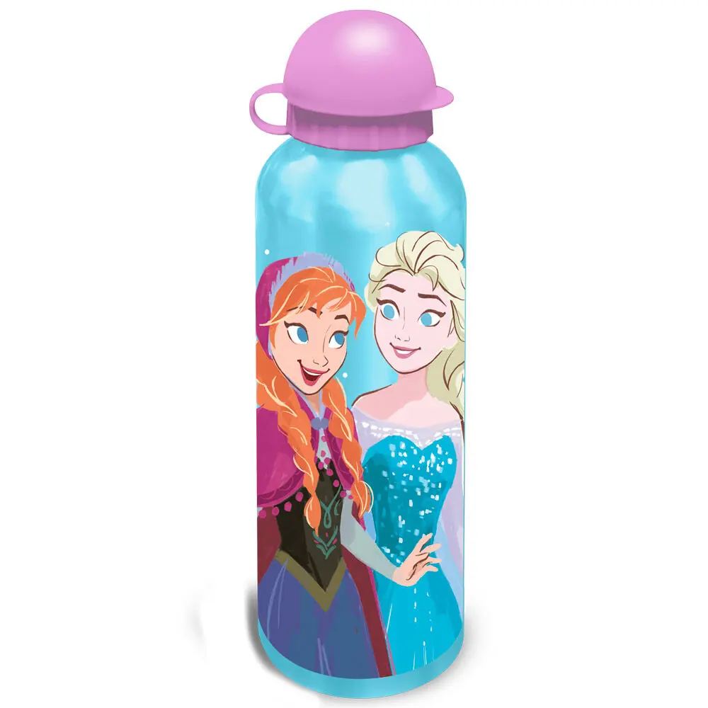 Disney Frozen Lunch box + aluminium bottle set 500ml product photo