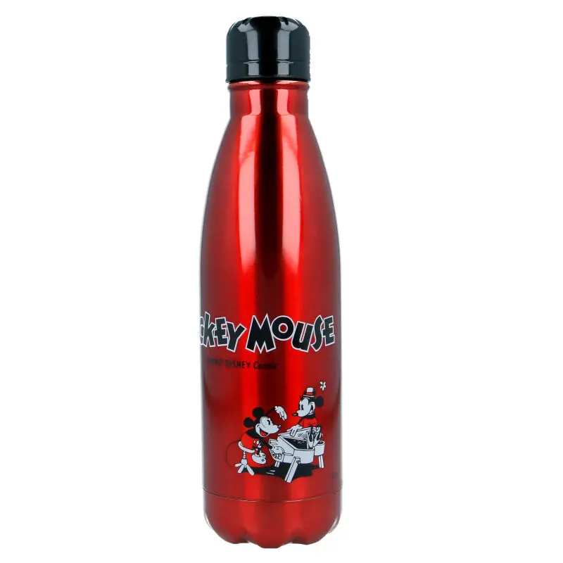 Disney Mickey stainless steel bottle product photo