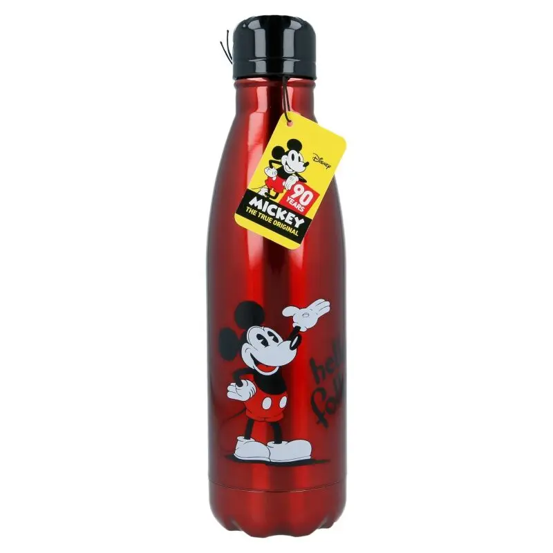 Disney Mickey stainless steel bottle product photo