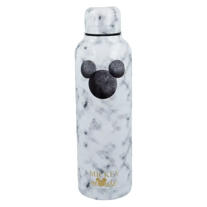 Disney Mickey stainless steel bottle 515ml product photo