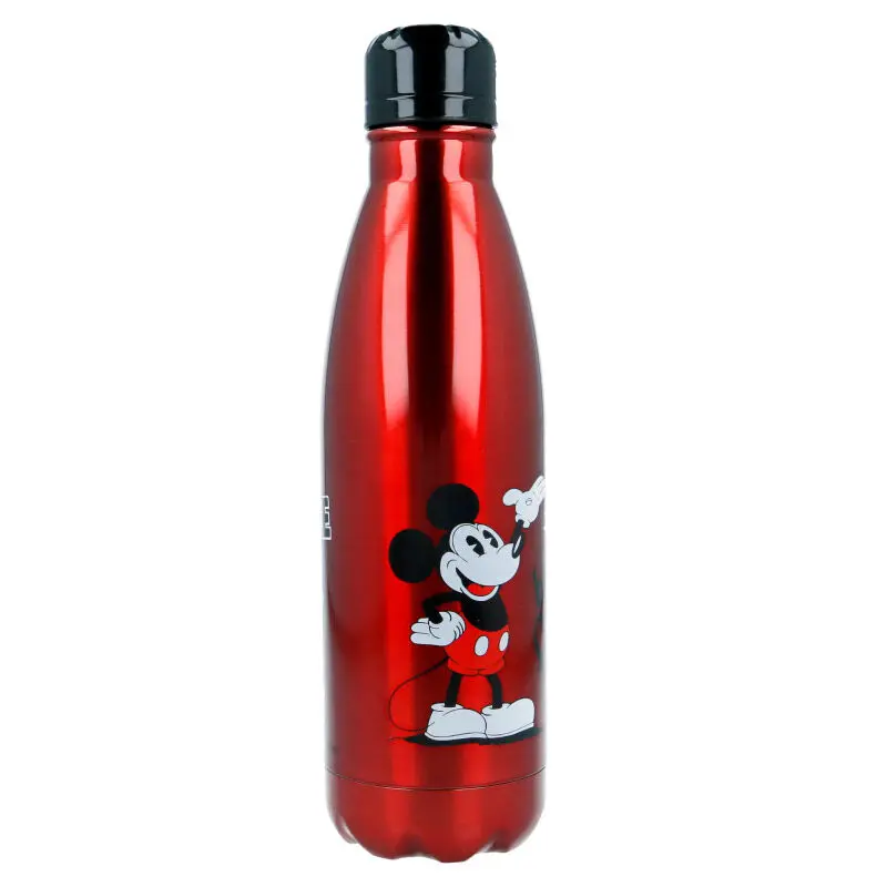 Disney Mickey stainless steel bottle product photo