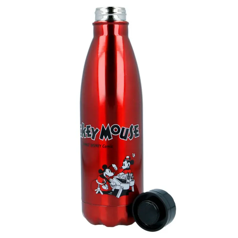 Disney Mickey stainless steel bottle product photo