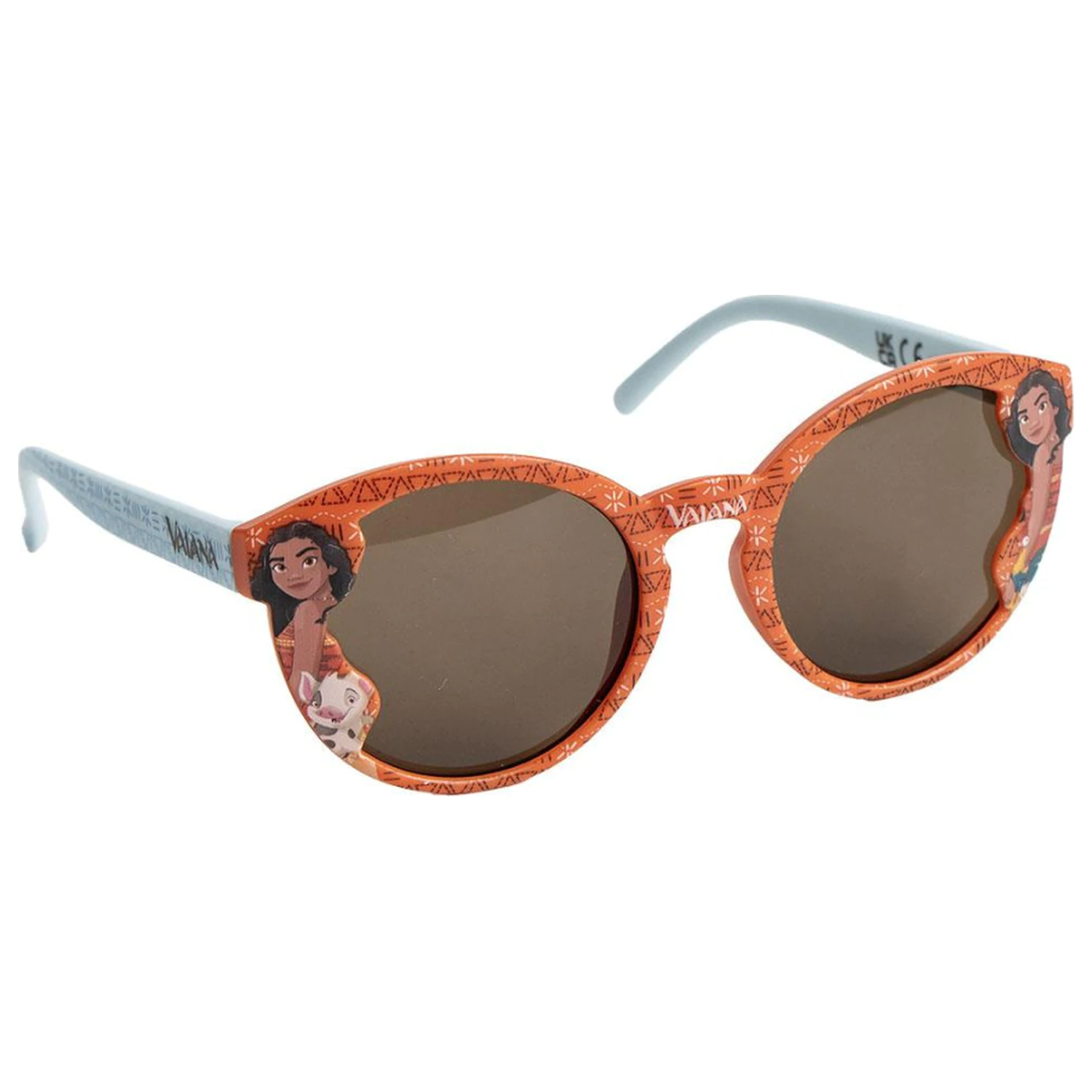 Disney Moana Pua and Heihei sunglasses product photo