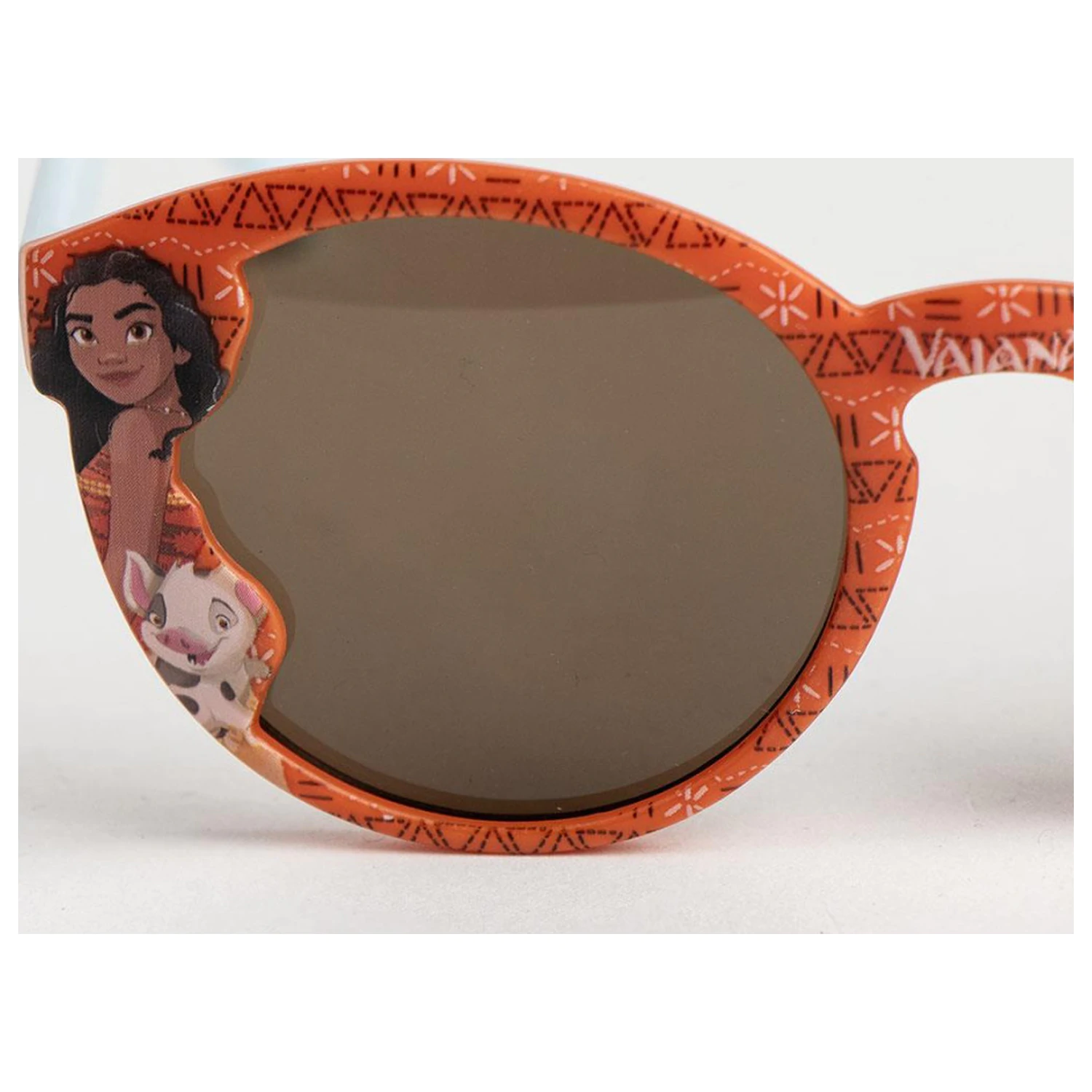 Disney Moana Pua and Heihei sunglasses product photo
