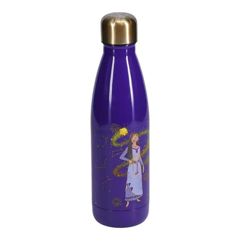 Disney Wish Asha stainless steel bottle 460ml product photo