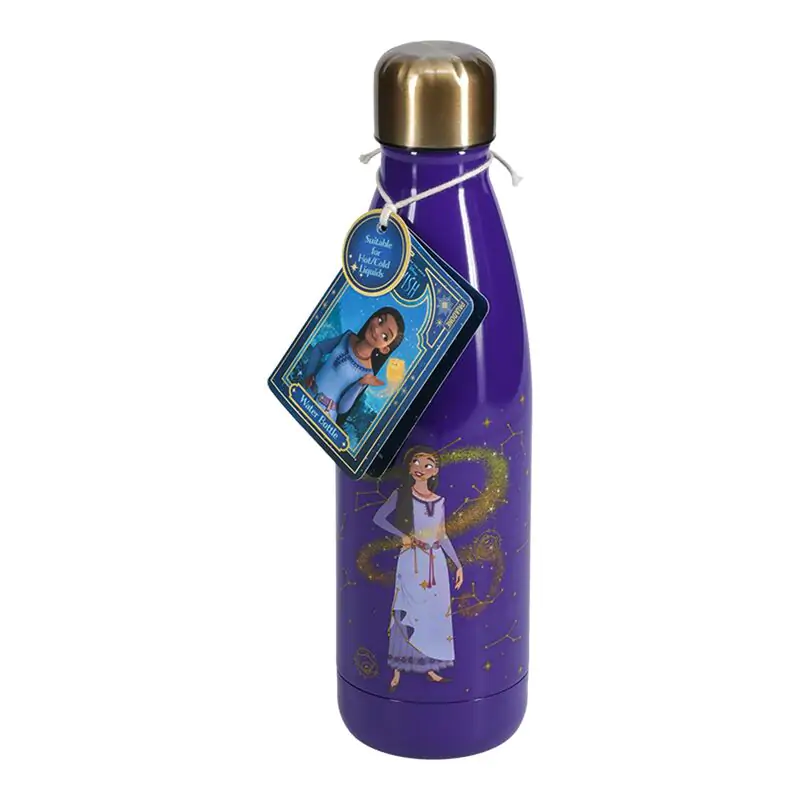 Disney Wish Asha stainless steel bottle 460ml termékfotó