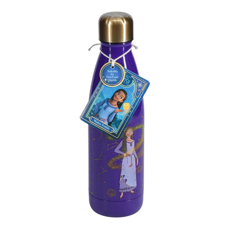 Disney Wish Asha stainless steel bottle 460ml product photo