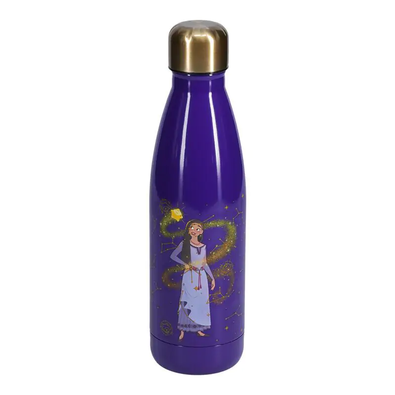 Disney Wish Asha stainless steel bottle 460ml product photo