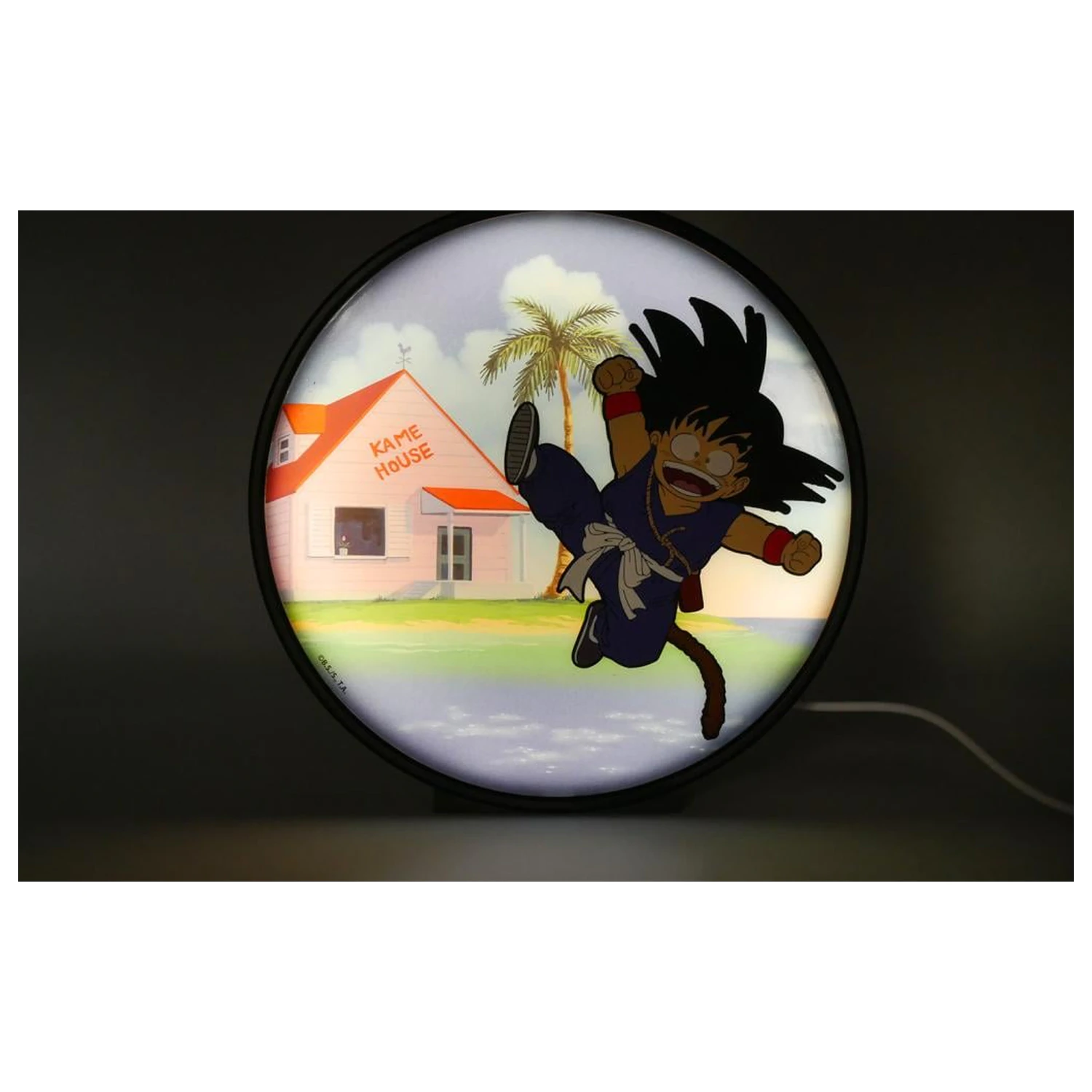 Dragon Ball Goku Kame House Light Up product photo
