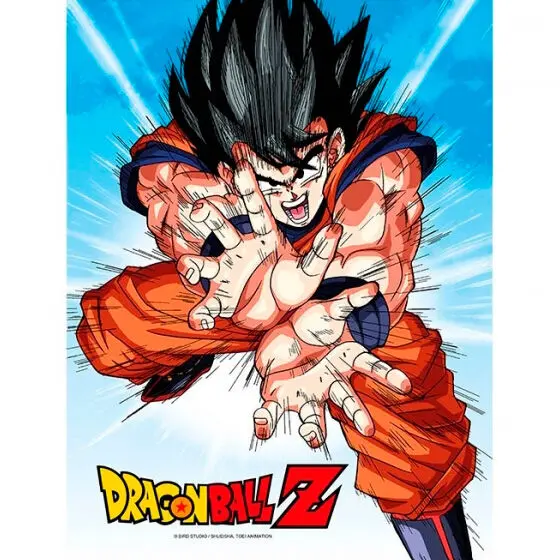 Dragon Ball Z Goku Kame glass poster termékfotó