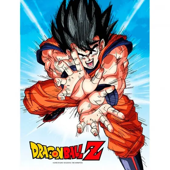 Dragon Ball Z Goku Kame glass poster product photo