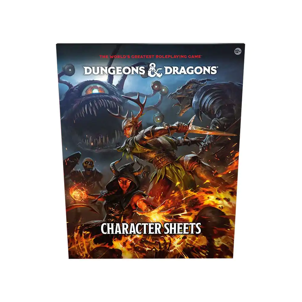 Dungeons & Dragons RPG Character Sheets 2024 english product photo