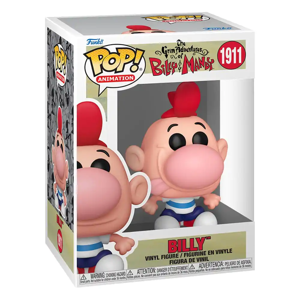 The Grim Adventure of Billy & Mandy Funko POP! TV Vinyl Figure Billy 9 cm product photo