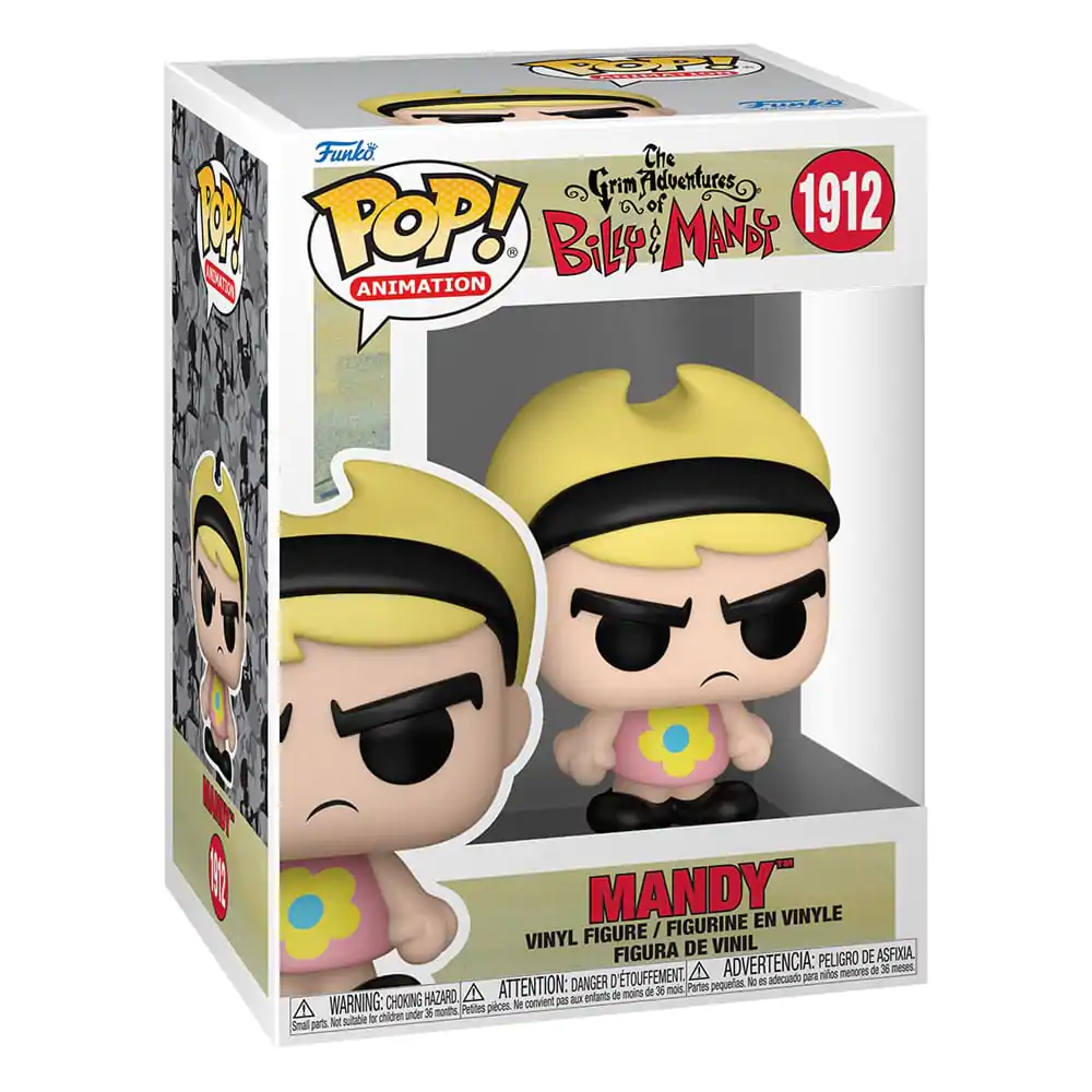 The Grim Adventure of Billy & Mandy Funko POP! TV Vinyl Figure Mandy 9 cm product photo