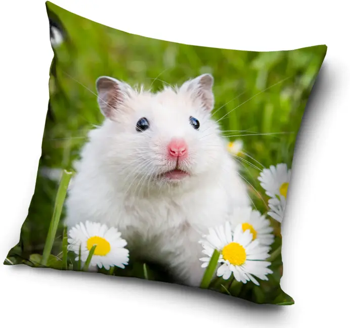 Mouse Cushion Cover 40x40 cm product photo