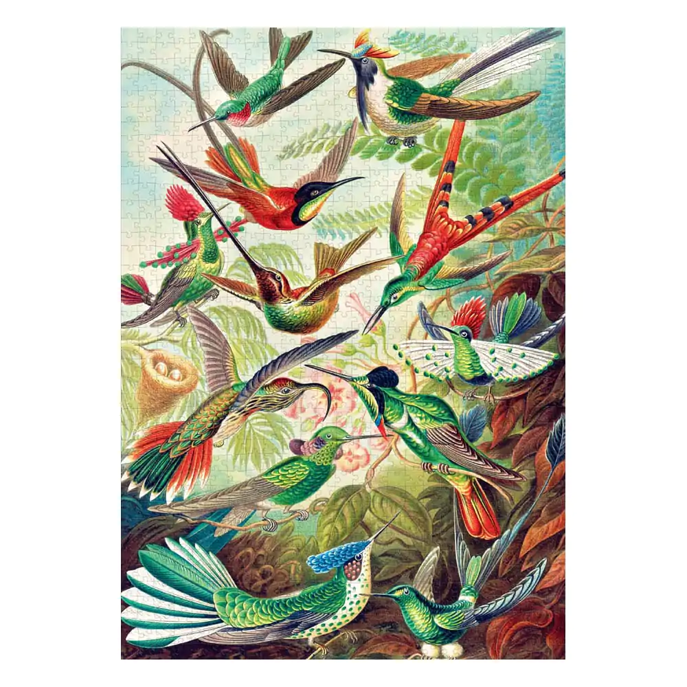 Ernst Haeckel Imagination Puzzle Hummingbirds/Kolibry (1000 pieces) product photo