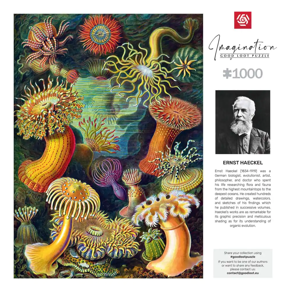 Ernst Haeckel Imagination Puzzle Sea Anemones/Stworzenia morskie (1000 pieces) termékfotó