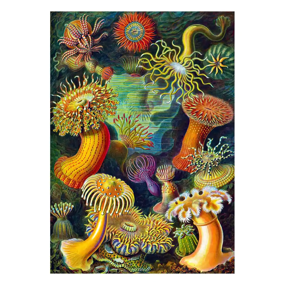 Ernst Haeckel Imagination Puzzle Sea Anemones/Stworzenia morskie (1000 pieces) termékfotó