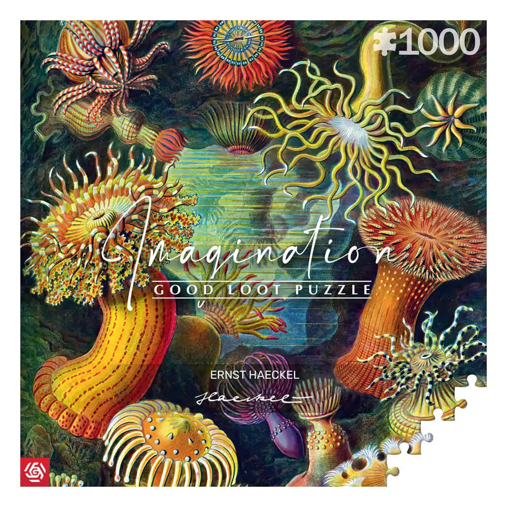 Ernst Haeckel Imagination Puzzle Sea Anemones/Stworzenia morskie (1000 pieces) termékfotó