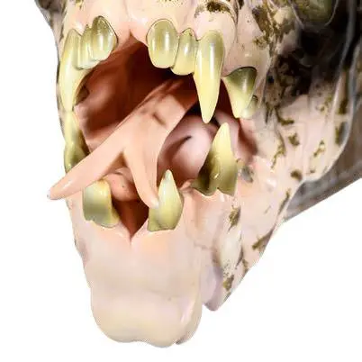 Fallout 3D Wall Art Deathclaw product photo