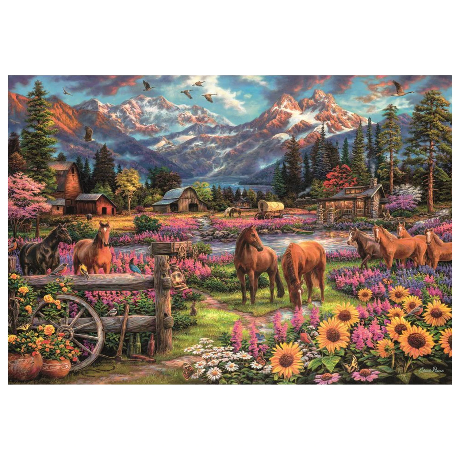 Free To Roam puzzle 3000pcs product photo