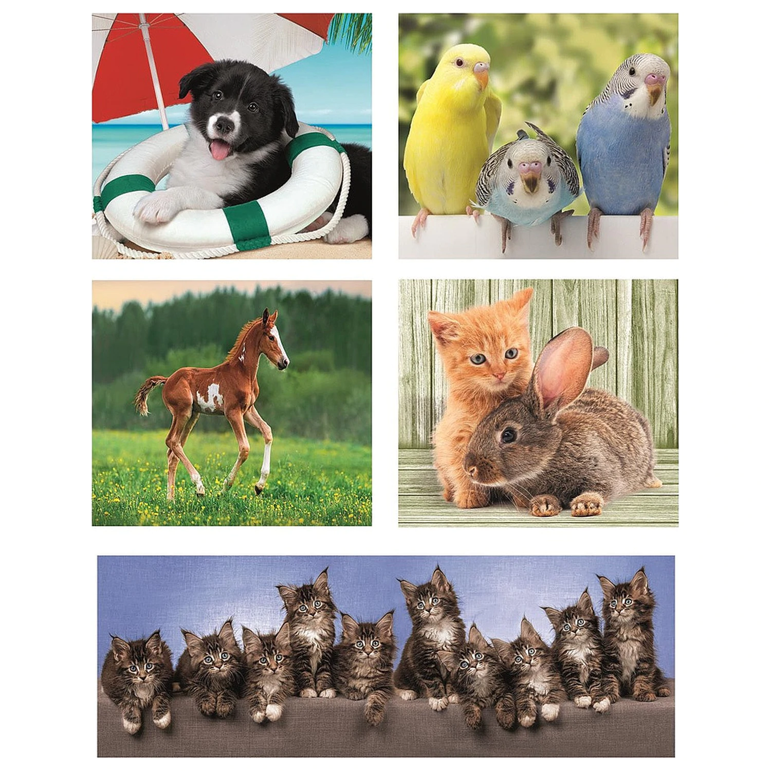 Friends 10-in-1 Puzzle Clementoni product photo