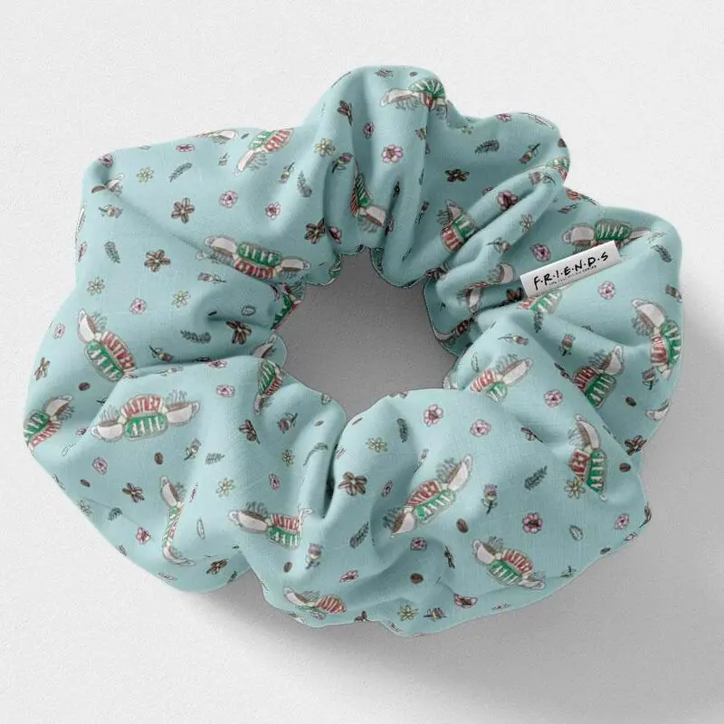 Friends assorted blister 5 hair ties product photo