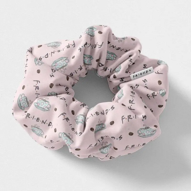 Friends assorted blister 5 hair ties product photo