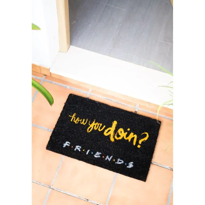 Friends How You Doin doormat product photo