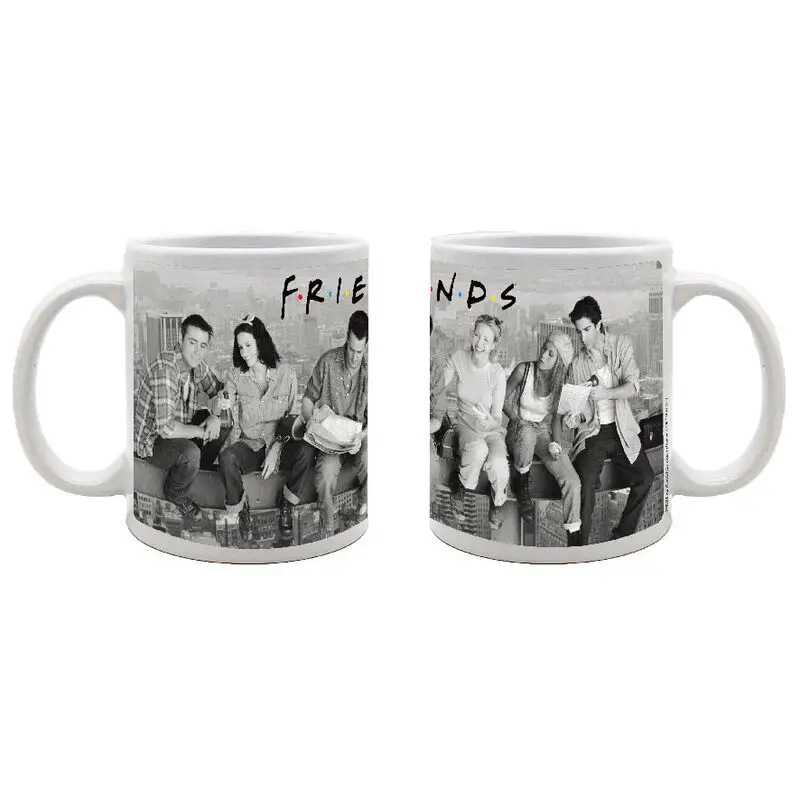 Friends Scaffold mug product photo