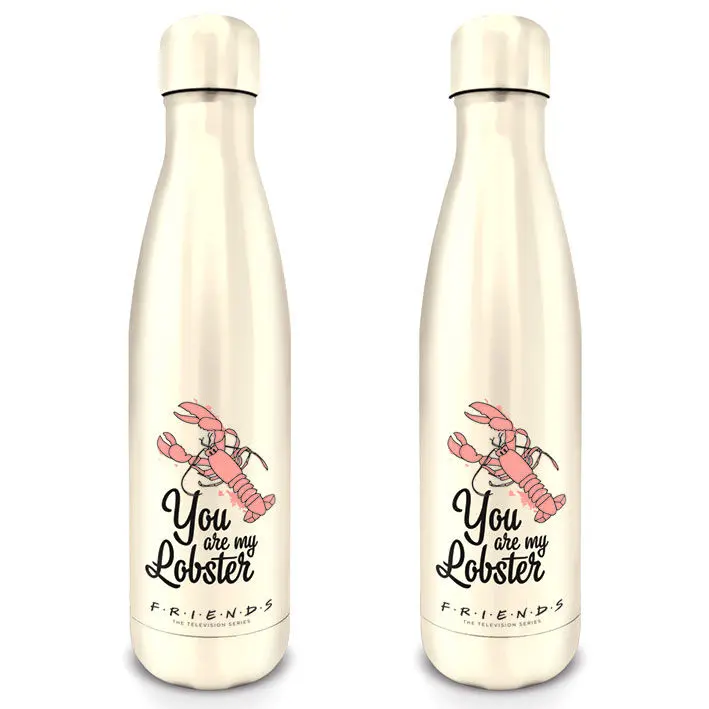Friends Drink Bottle You Are My Lobster product photo