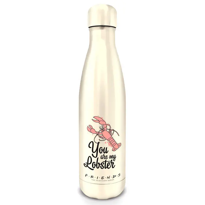 Friends Drink Bottle You Are My Lobster product photo