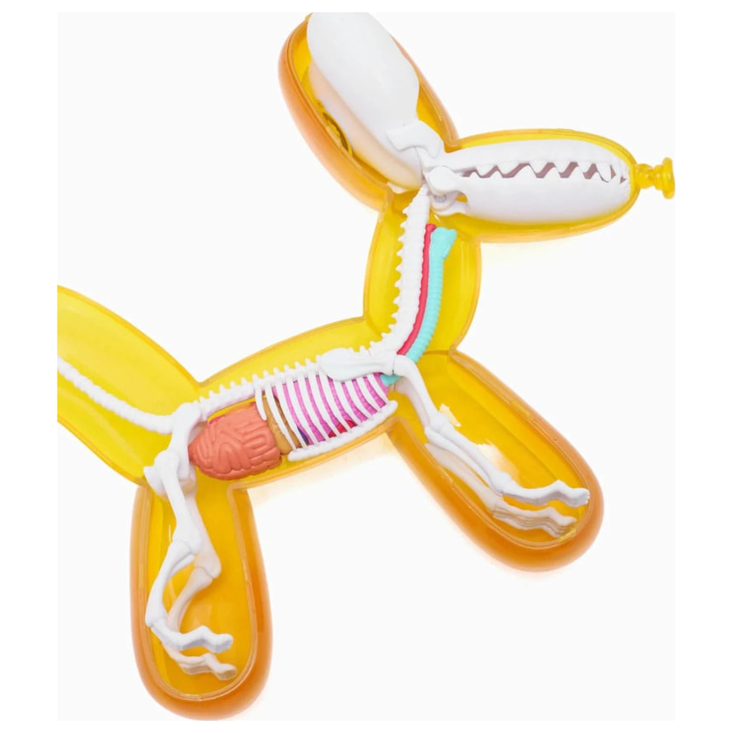 Funny Anatomy Honey Edition Balloon Dog Statue product photo