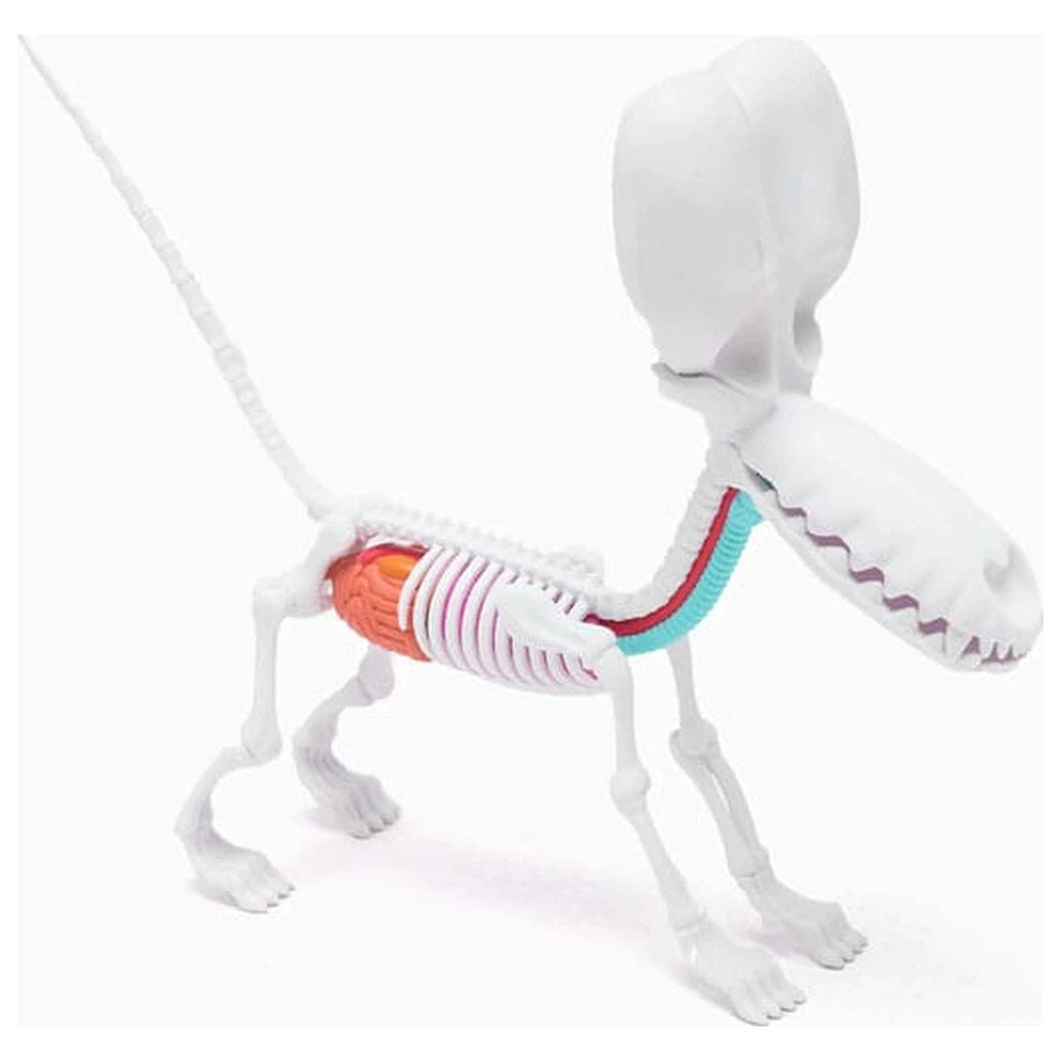 Funny Anatomy Honey Edition Balloon Dog Statue product photo