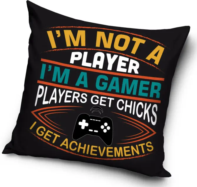 Gamer Cushion, Decorative Pillow 40x40 cm product photo
